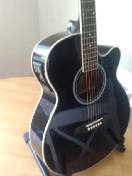 Guitar - Semi Acoustic