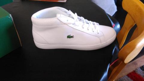 Lacoste runners