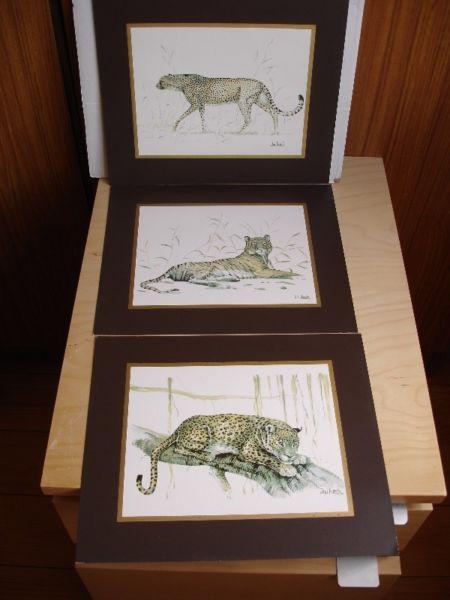 Three Vintage Joel Kirk Big Cat Prints