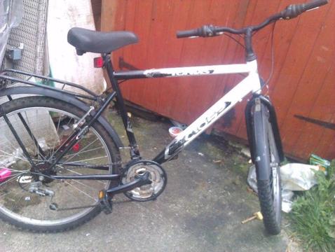 adult bike for sale