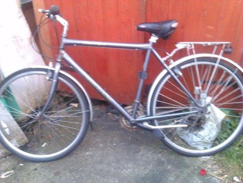 adult bike for sale