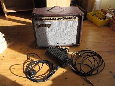 Want to swap an amplifier for a mandilon