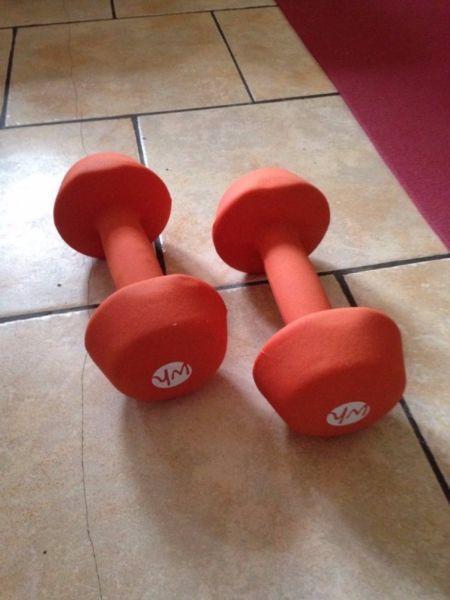 Dumbbells 6 Kg each and a floor mat