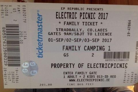 Electric Picnic Family Campsite Weekend Ticket