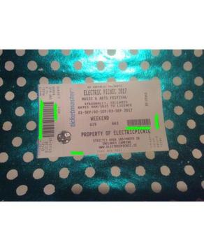 Electric picnic weekend camping ticket