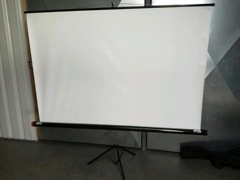 Large projector screen
