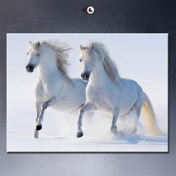 the snow horses