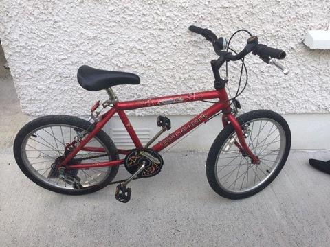 childs bike - red raleigh