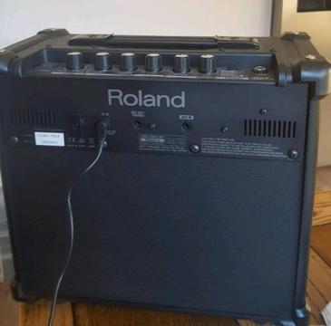 Roland Cube 10gx amp