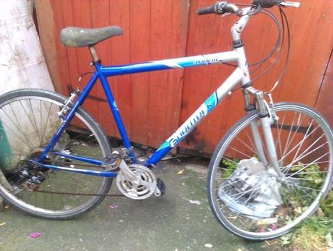 adult bike for sale