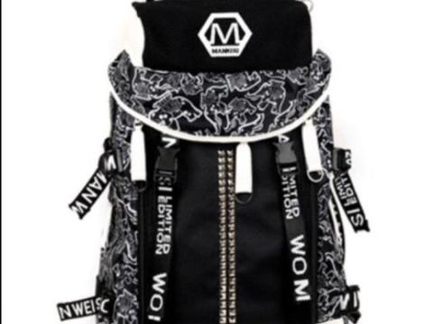 Stylish Korean backpack bag