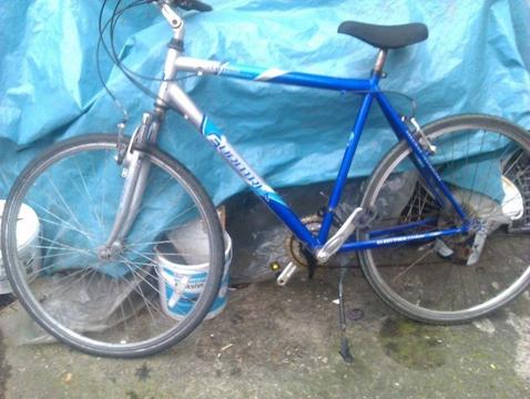 adult bike for sale