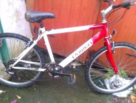 adult bike for sale