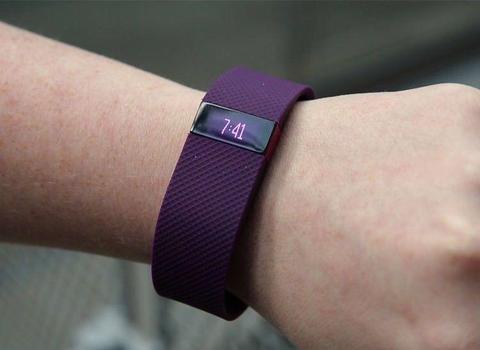Fitbit Charge HR Heart Rate Monitor - Plum Purple