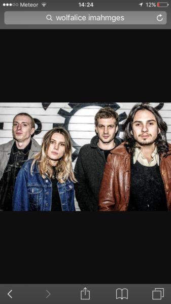 Wolf Alice standing for sale pls call or txt
