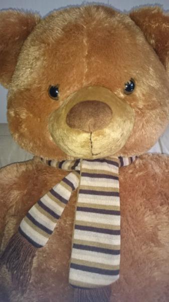 Large Teddy Bear (never used)