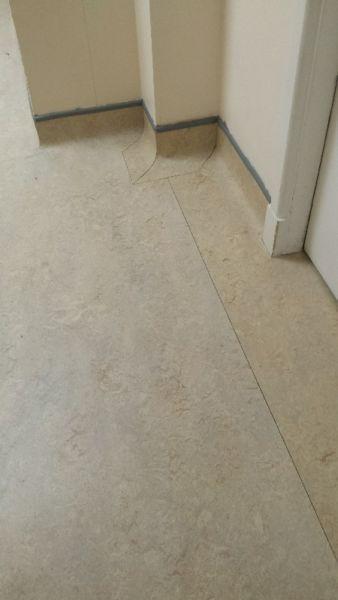 carpet tiles,tredford,amtico,marmolium,safty floors fitter