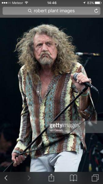 Robert plant for sale