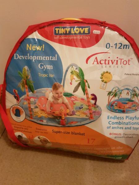 Baby and Toddler play mat