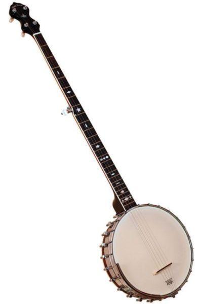 OT-800 Long Neck 5-String Banjo by Goldtone