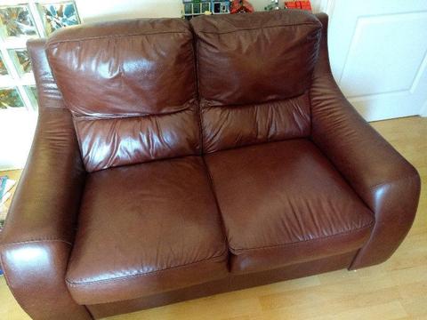 2-Seat Brown Leather Sofa (price:free)