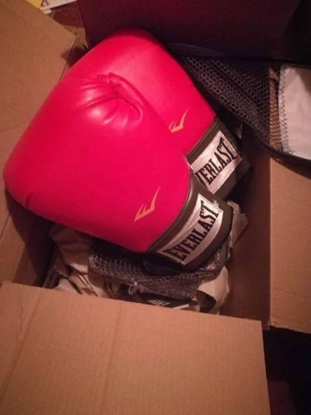 Brand new Everlast 16oz Boxing Gloves
