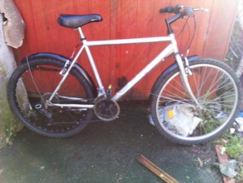 adut bike for sale