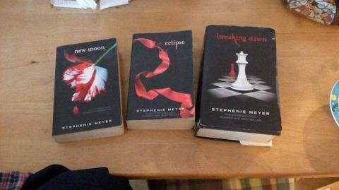 Twilight saga books