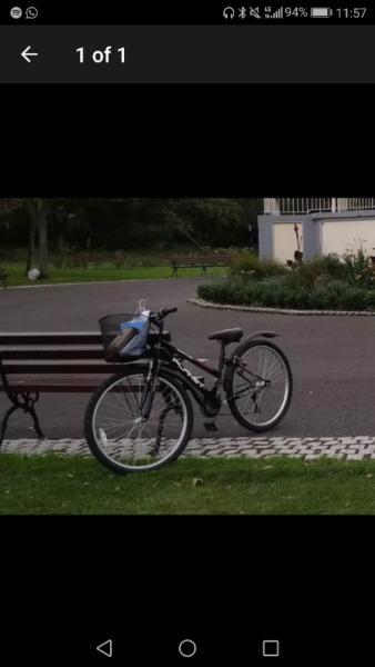 Ladies Bike - near UCD