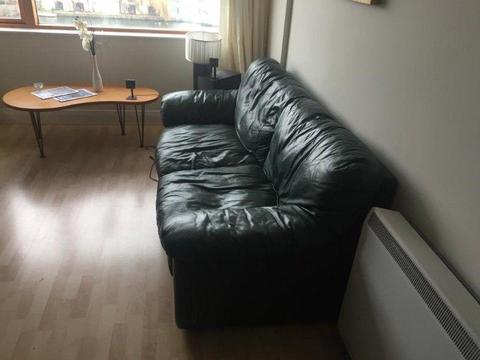 Green Leather Couch For Sale