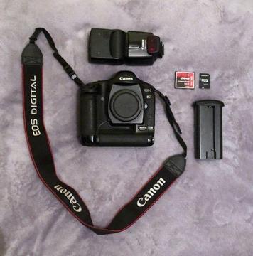 Canon 1Ds Mark II (FULL FRAME) + Flashlight + SD & CF Card - €700