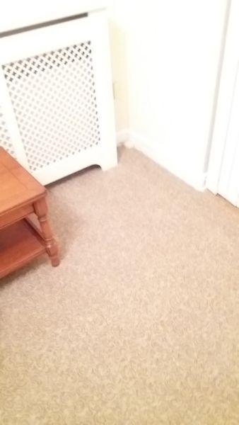Wool (rug) ulster carpet piece 9' x 4'