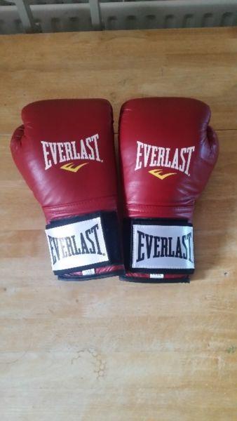 New leather EVERLAST Boxing Gloves 12Lbs - Not used, Perfect conditon