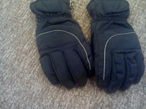 Men's Thinsulate Lined Ski Gloves