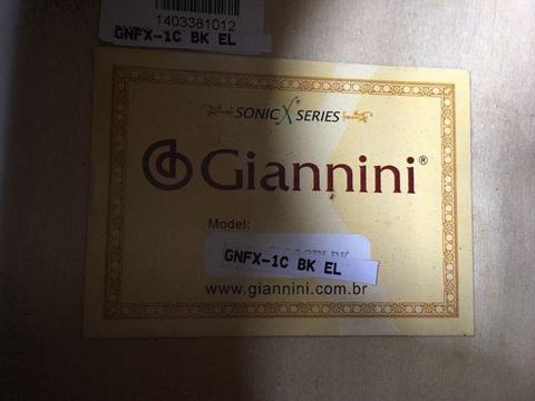 Acoustic Guitar Giannini GNFX-1c *GREAT SOUND*
