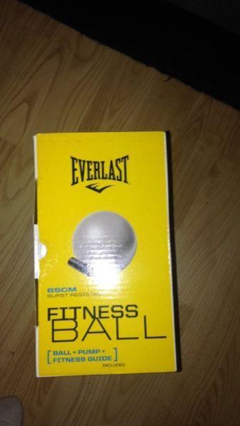 EVERLAST Fitness Ball 65cm burst resistant