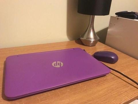 Hp Pavilion Windows 8.1 Laptop Purple