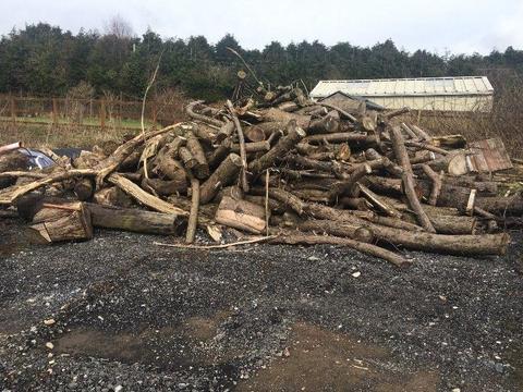 Bulk load of Uncut Firewood*Free