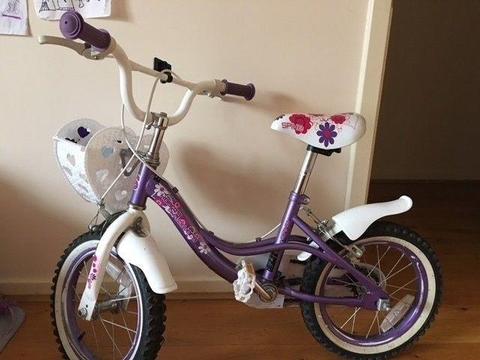 Spike 14 Inch Girls' Bike - with all accessories
