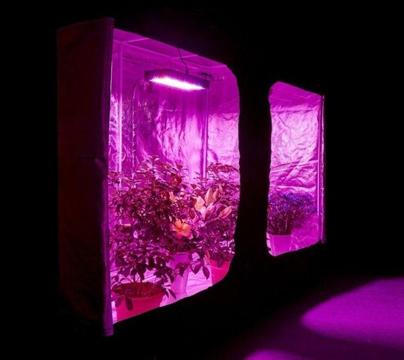 LED light Grow LED lights hydroponics