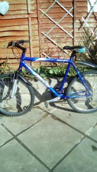 giant mountain bike in good condition