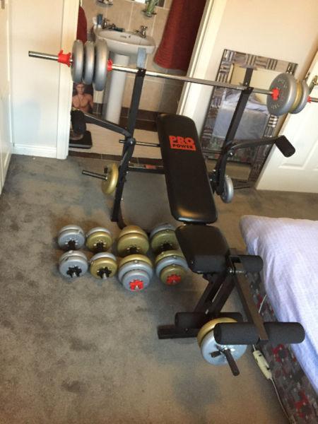 Weight bench (practically new, seldom used)