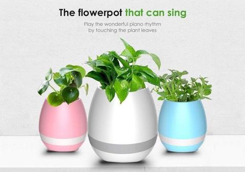 Musical Flower Pot!