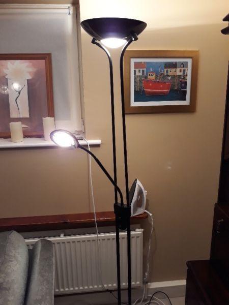 Standing Lamp and reading Light