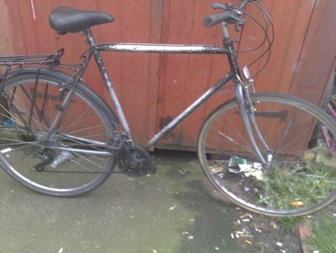 adult bike for sale