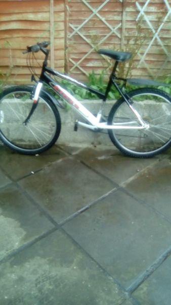 ladies mountain bike in good condition