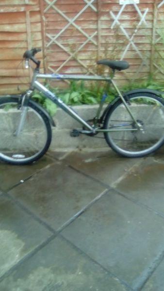 raleigh mountain bike in good condition