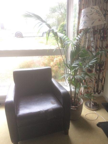 FREE DARK BROWN LEATHER ARMCHAIR - NO PRICE