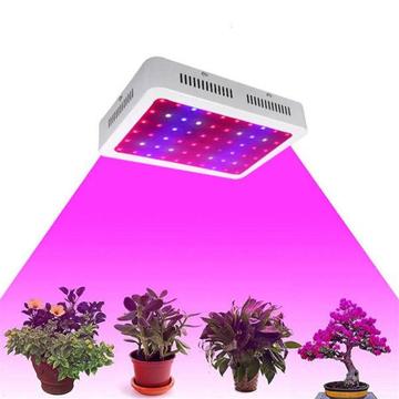 1200w double chips LED grow light full spectrum grow lamp for green house hydroponic indoor plants