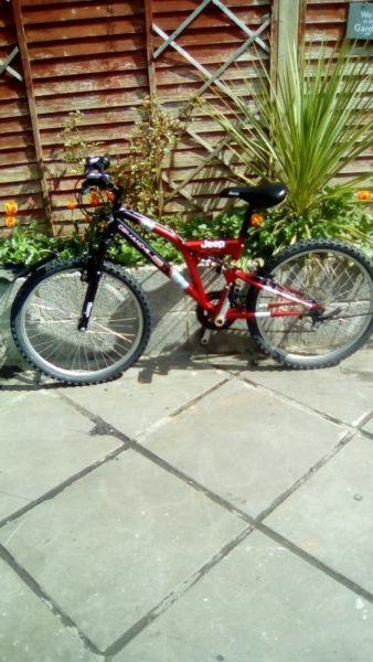 teenagers mountain bike in good condition